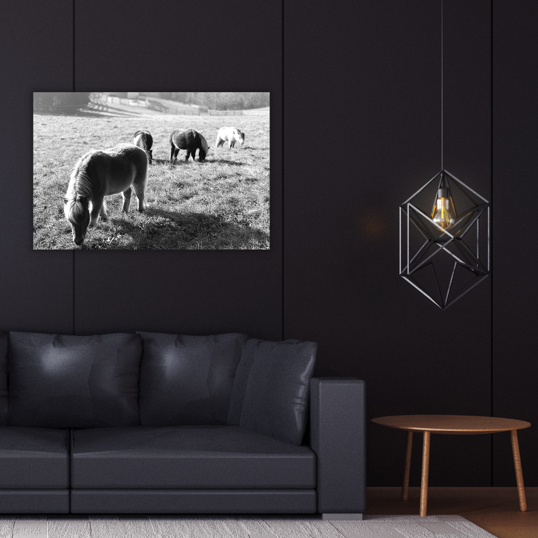 Horse Farm  Wall Art